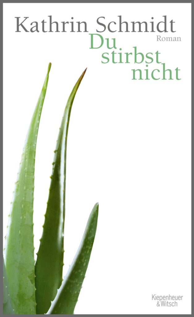 Kathrin Schmidt: Du stirbst nicht